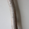 Treibholz Schwemmholz Driftwood 1 XL Ast  Garderobe 91 cm 