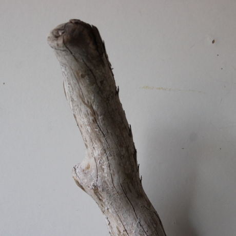 Treibholz Schwemmholz Driftwood 1 XL Ast  Garderobe 91 cm 
