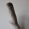 Treibholz Schwemmholz Driftwood 1 XL Ast  Garderobe 91 cm 