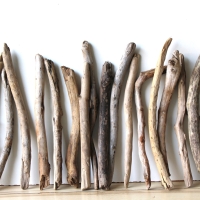 Treibholz Schwemmholz Driftwood 19  Äste  39- 46 cm  *E1*
