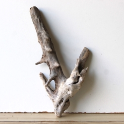 Treibholz Schwemmholz Driftwood 1 Wurzel  Terrarium 34 cm hoch