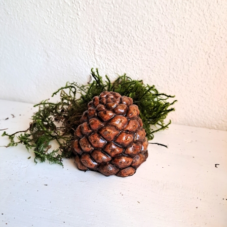 Zapfen Baumzapfen Pinienzapfen Pinie Deko Herbst Beton