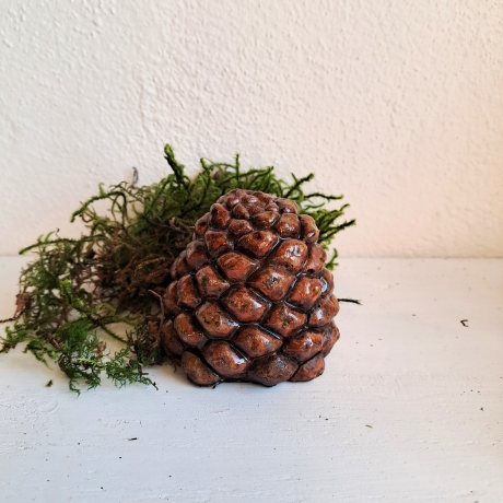 Zapfen Baumzapfen Pinienzapfen Pinie Deko Herbst Beton