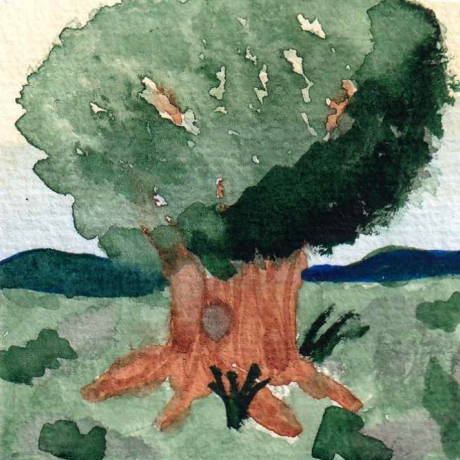 Aquarell Vierjahreszeiten Bäume Set 4 Original Miniaturen Rahmen