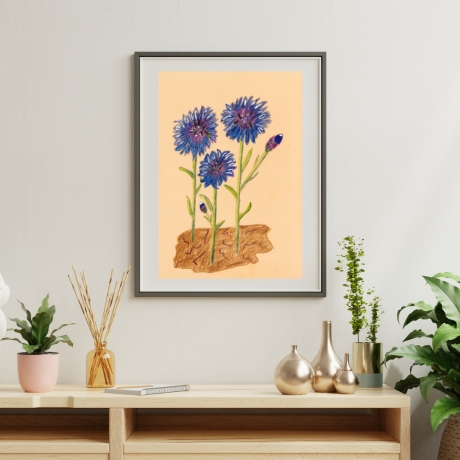 Kornblumen  Handgezeichnete Buntstiftzeichnung 