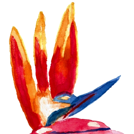 Strelitzie Paradiesblume Bird of Paradise Handgemaltes Aquarell