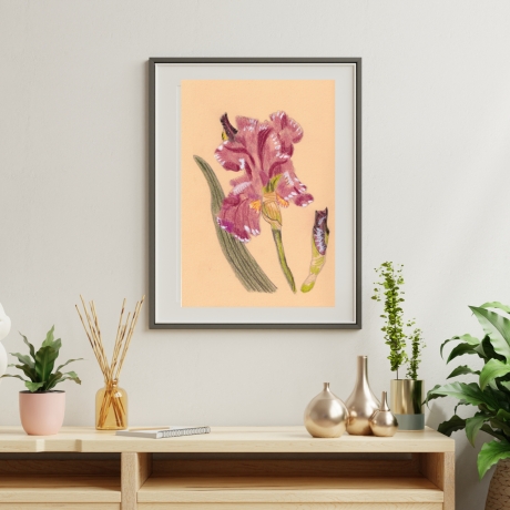 Bart Iris Handgezeichnete Buntstiftzeichnung Original