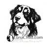 Stickdatei Berner Sennenhund Buddy Hund