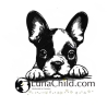 Stickdatei Boston Terrier Welpe Kirby Hund