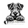 Stickdatei Airedale Terrier Welpe Nola Hund