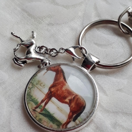 Cabochon Schlüsselanhänger Pferd Reiten Cheval