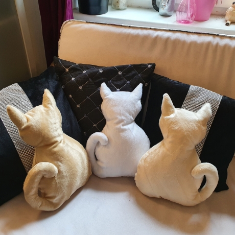 kleiner beiger Kater,  Kuschelkissen für Katzenliebhaber