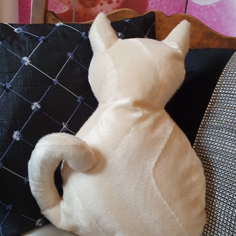 kleines cremfarbenes Kätzchen, Kuschelkissen für Katzenliebhaber