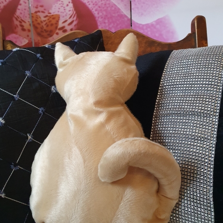 kleiner beiger Kater,  Kuschelkissen für Katzenliebhaber