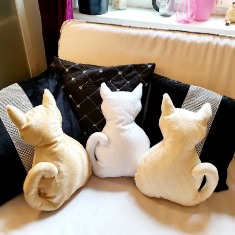kleines cremfarbenes Kätzchen, Kuschelkissen für Katzenliebhaber