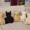 kleiner beiger Kater,  Kuschelkissen für Katzenliebhaber