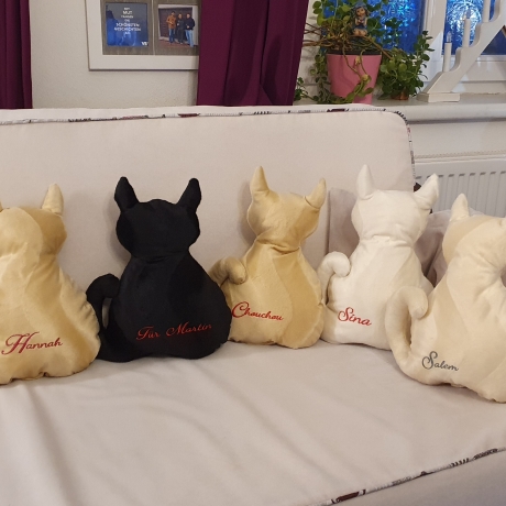 kleines cremfarbenes Kätzchen mit Personalisierung