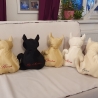 kleines cremfarbenes Kätzchen mit Personalisierung