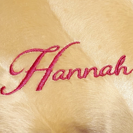 kleiner beiger Kater, personalisiertes Kuschelkissen 