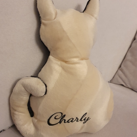 kleines cremfarbenes Kätzchen, Kuschelkissen für Katzenliebhaber
