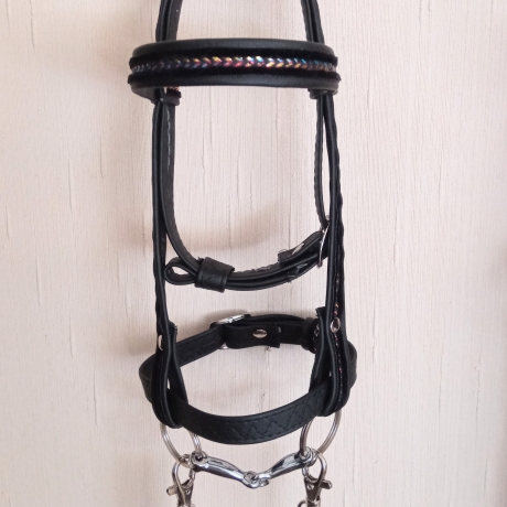Hobbyhorse  Steckenpferd 