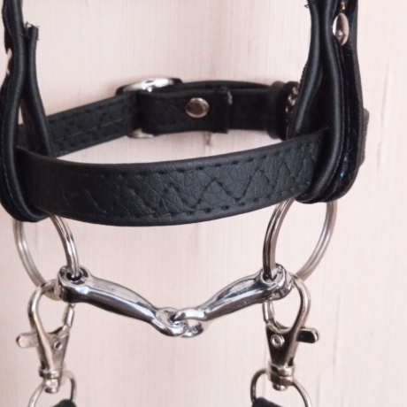 Hobbyhorse  Steckenpferd 