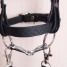 Hobbyhorse  Steckenpferd 