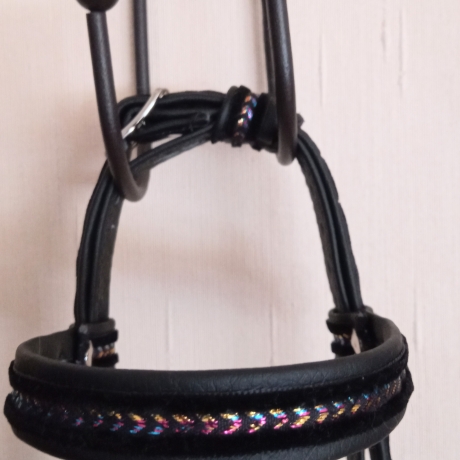 Hobbyhorse  Steckenpferd 