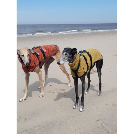 Windhundpullover