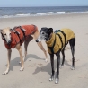 Windhundpullover