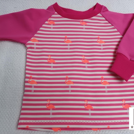 Babyset Shirt und Hose Flamingo pink Gr. 62/68