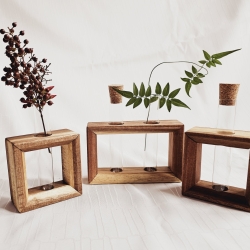 Dekorahmen aus Holz mit Reagenzgläsern, Anzuchtgläser, Akazie