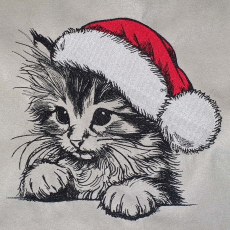 NEU Stickdatei Katze mit Weihnachtsmütze Ria Kitten