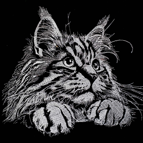 Stickdatei Katze Maine Coon Kätzchen Berta