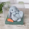 Seife Hase auf Rücken
