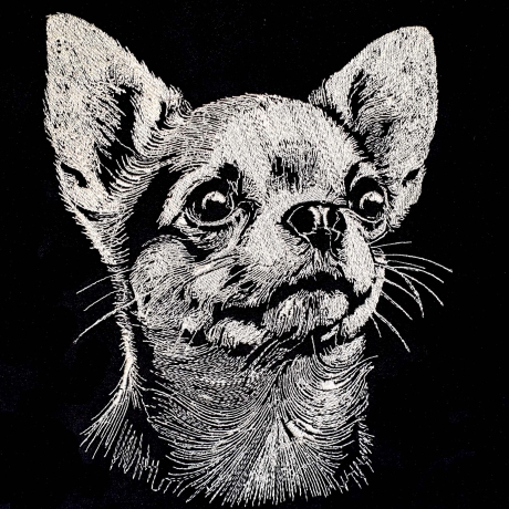 Stickdatei Chihuahua Milow Hund realistisch