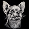 Stickdatei Chihuahua Milow Hund realistisch Lunachild