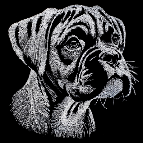 Stickdatei Boxer Welpe Cassius Hund realistisch