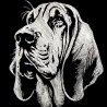 Stickdatei Amerikanischer Bluthund Blacky Hund 