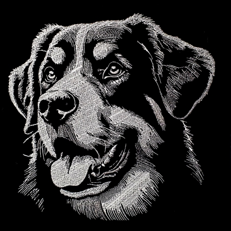 Stickdatei Appenzeller Sennenhund Leroy Hund 