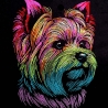 Stickdatei  Yorkshire Terrier Erwin  Hund realistisch