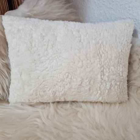 Kissen Hund Marienkäfer altrosa Waffel & Wunschnamen W1492