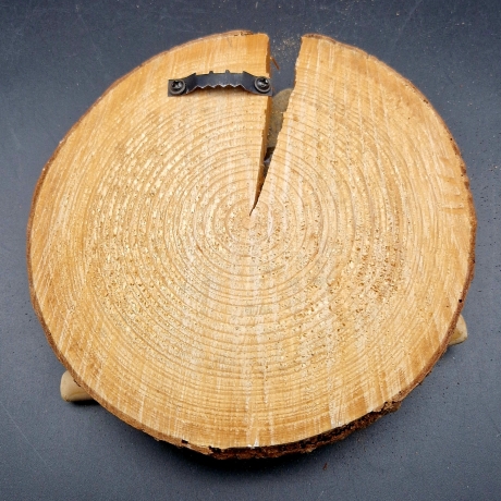 Steinbild handbemalte Eulen auf Baumscheibe