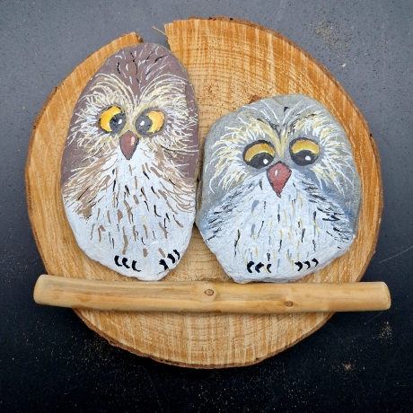 Steinbild handbemalte Eulen auf Baumscheibe