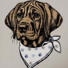 Stickdatei Applikation Rhodesian Ridgeback Elvis 