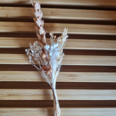 Trockenblumen Sträußchen - Strauß - Blumen -Trocken / 2
