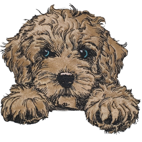 NEU Stickdatei Applikation Cockapoo Funny realistisch