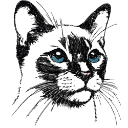 Stickdatei Kitten Kätzchen Siam Thai Katze Sam  Stickdatei Kitten Kätzchen Siam Thai Katze Sam