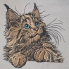 NEU Stickdatei Applikation Maine Coon Katze Kiss 