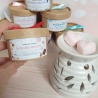 Wachs Melts Love Potion